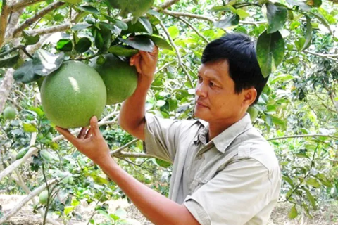 Vietnam targets $65-billion agri-forestry-fishery exports this year
