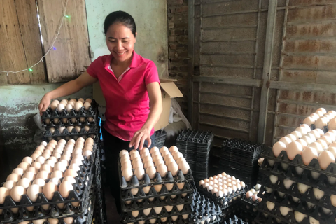Khai Thai chicken eggs trademarked to boost rural value and traceability