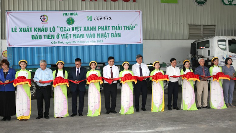 Hình ảnh 2