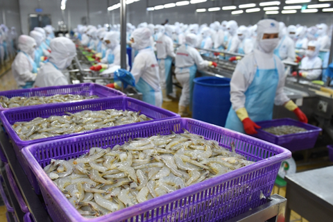 Vietnam shrimp exports to China hit $1-billion high on premium demand
