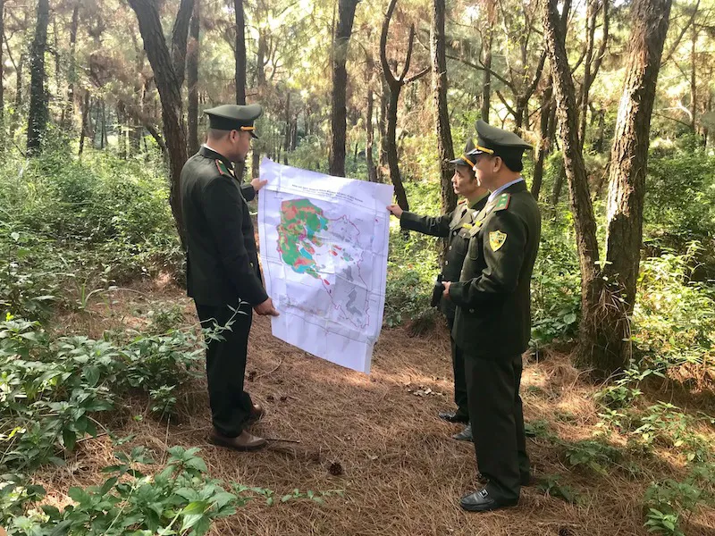 Hình ảnh 1