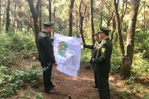 Hanoi reviews forest land to align with national forest plan