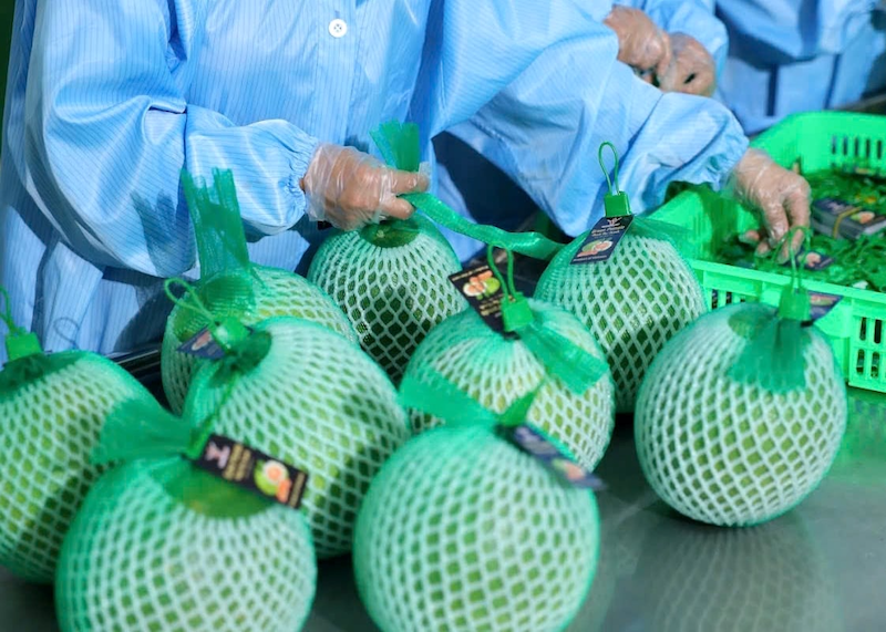 Hình ảnh 1