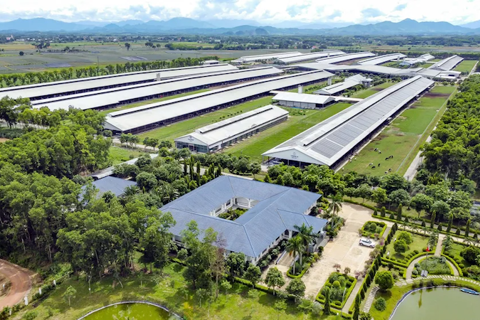 Vinamilk represents Southeast Asia in the world's top 10 dairy brands