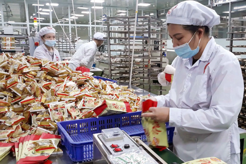 Vietnam pushes retail growth with modern B2B platforms
