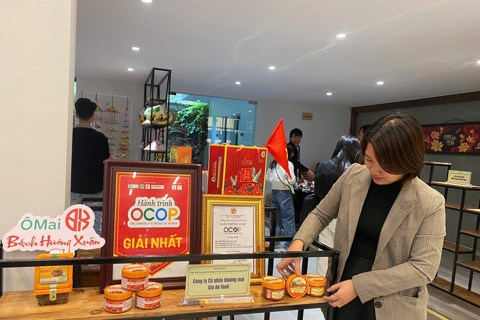 Hanoi promotes craft village development through OCOP product showcase space
