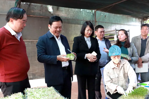 Hanoi ramps up essential goods reserves to stabilize prices for Tet 2026
