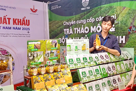 Vietnam Export Brand Fair 2025 opens in Hanoi