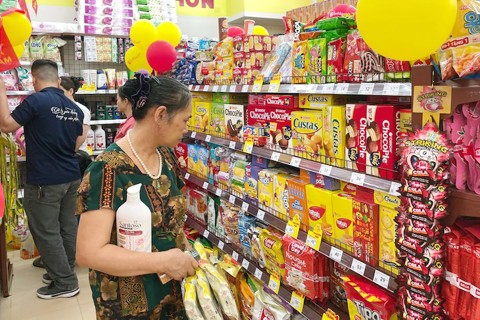 Expanded modern retail chains fuel presence of Vietnamese goods
