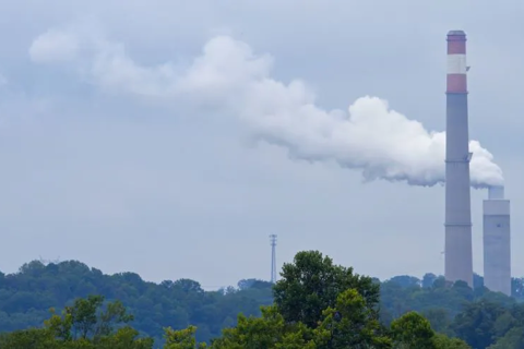 Vietnam to pilot carbon trading floor by late 2025
