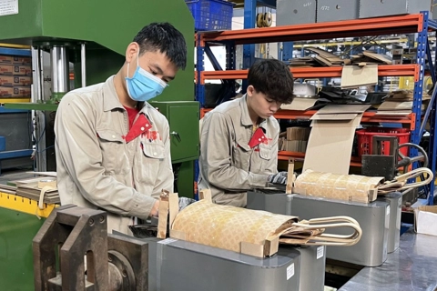 Capital Law 2024 boosts Hanoi's FDI appeal: Expert 
