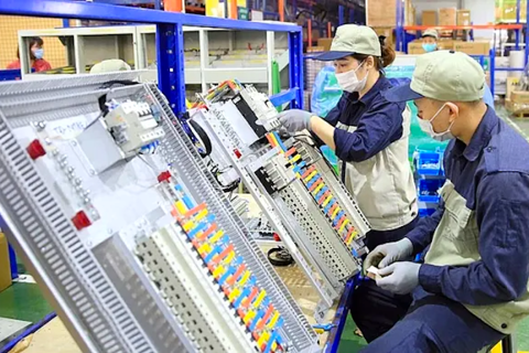 Vietnam’s domestic market emerges as lifeline amid export slump
