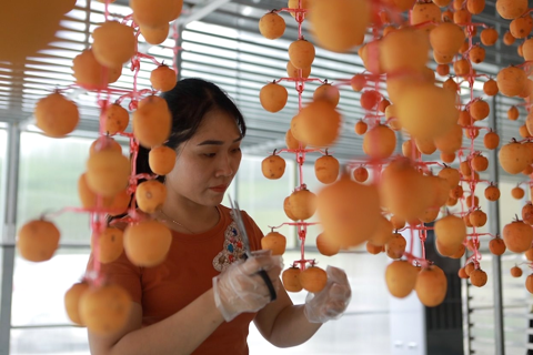 Vietnam to launch smart agriculture innovation center in Lang Son