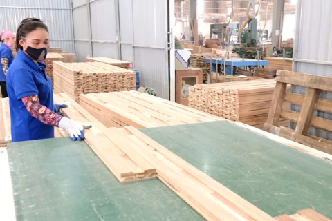 Vietnam targets US$16 billion in timber exports this year
